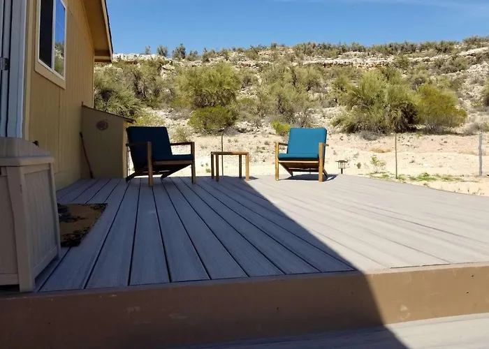 Desert Guest